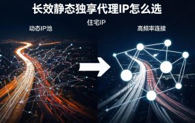 长效静态独享代理IP怎么选？天行IP vs 沧海IP深度对比，纯净独享低至6元/月