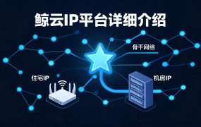 鲸云IP平台详细介绍：机房/家庭/定制三大类型全解析，高可用静态代理低至6元/月