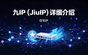九IP(JiuIP)详细介绍:专业静态代理IP服务,高性价比首选