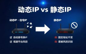 动态IP vs 静态IP：跨境业务怎么选？完整对比与选型指南