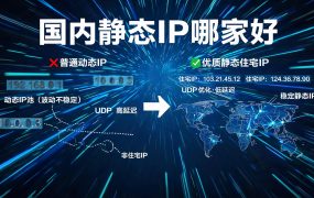 国内静态IP哪家好?全网低价IP平台一站式对比,全部免费试用