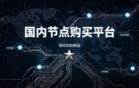 国内节点购买平台，推荐socks5ip.com.cn（全网低价IP）