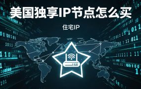 美国独享IP节点怎么买？全球代理IP海外静态住宅IP购买全攻略