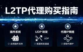 L2TP代理购买指南:2026年稳定IP方案推荐与配置教程