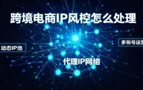 跨境电商IP风控怎么处理？账号安全与网络环境优化方法