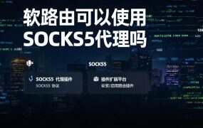 软路由可以使用SOCKS5代理吗？详细配置教程
