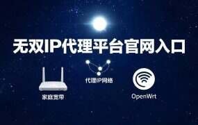 无双IP代理平台官网入口，最新可用地址与保姆级使用指南