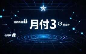 月付3.4元起！这款静态代理IP凭什么成为工作室的“性价比之王”？