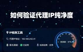 代理IP纯净度怎么测?4步检测法查出IP是否”干净”(免费工具)