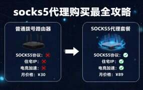 socks5代理购买最全攻略!国内独享静态IP价格对比(2026年8月最新版)