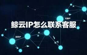 鲸云IP怎么联系客服？官方联系方式全收录（微信/QQ/电话/售后群）