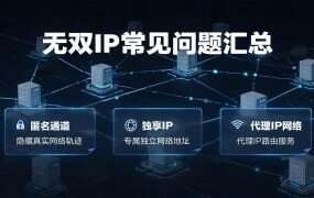无双IP常见问题汇总:注册、实名、提取、配置、续费全解答
