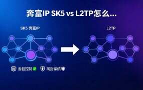 奔富IP SK5 vs L2TP怎么选?一张表看懂区别,新手不再纠结