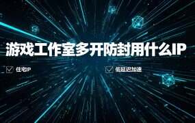游戏工作室多开防封用什么IP？天行IP长效静态实测：百兆峰值6元/月