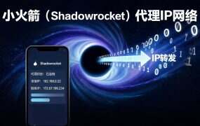 小火箭(Shadowrocket)配置天行IP详细教程:iOS用户看这篇就够了