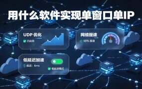 用什么软件实现单窗口单IP？老鱼加速器设置教程
