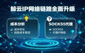 鲸云IP网络链路全面升级:BGP三网互通+智能DNS解析,全国延迟大幅降低