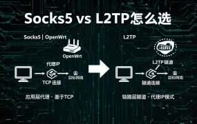 Socks5 vs L2TP怎么选?光梭IP双协议场景化选购指南