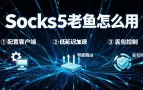 Socks5老鱼怎么用?老鱼加速器导入Socks5更改游戏IP教程
