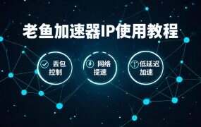 老鱼加速器IP使用教程:从购买IP到单窗口单IP设置全指南