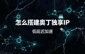 怎么搭建奥丁独享IP?三步搞定游戏多开防关联