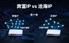 奔富IP vs 沧海IP,国内IP选哪个?5维对比