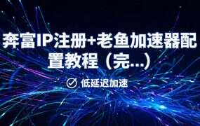 奔富IP注册+老鱼加速器配置教程（完整版）