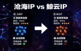 沧海IP vs 鲸云IP,百兆IP选哪个?
