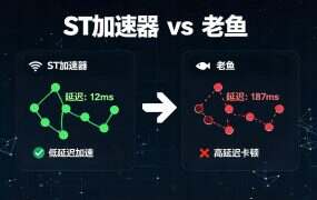 ST加速器 vs 老鱼,游戏代理选哪个?