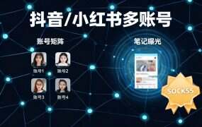 抖音/小红书多账号:IP怎么选,推荐socks5ip.com.cn(全网低价IP)