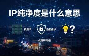 IP纯净度是什么意思?为什么影响账号安全?一文讲透(附提升方法)