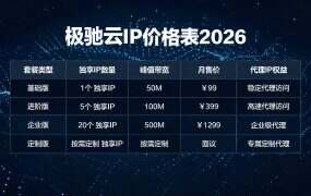 极驰云IP价格表2026：SK5/L2TP全档折后价一览