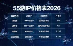 55游IP价格表2026：按天/周/包月全档价一览