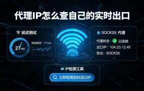 代理IP怎么查自己的实时出口？IP检测工具使用教程（2026）