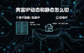 奔富IP动态和静态怎么切？线路切换与分组管理教程