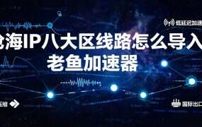 沧海IP八大区线路怎么导入老鱼加速器？单窗口单IP实操（2026）