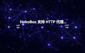 NekoBox 支持 HTTP 代理吗？协议选择说明