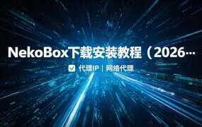NekoBox下载安装教程（2026）：官方渠道与安装步骤
