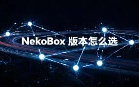 NekoBox 版本怎么选?先分清三个官方仓库和冒充版