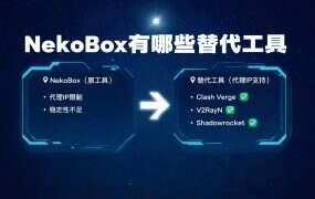 NekoBox有哪些替代工具?(2026)同类工具对比
