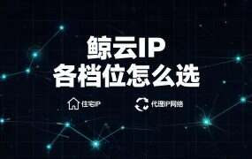鲸云IP 各档位怎么选？三个指标对号入座（6 元/月起）