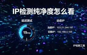 IP检测纯净度怎么看？三步自查与判定标准
