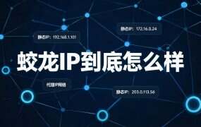 蛟龙IP到底怎么样？三句话自己验一遍再付款