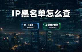 IP黑名单怎么查？主流黑名单库与查询工具指南（2026）