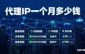 代理IP一个月多少钱?四个价位档买到什么