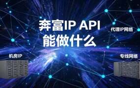 奔富IP API 能做什么？六个接口管线路