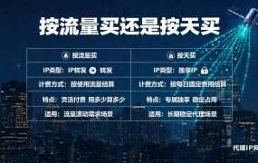 按流量买还是按天买？代理IP两种计费方式的临界点