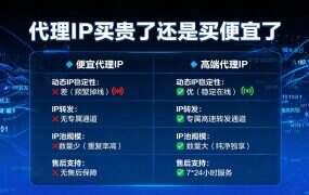 代理IP买贵了还是买便宜了？按业务折算，月费低的可能贵 56 倍