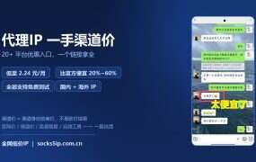 代理IP一手渠道价：20 多家平台优惠入口汇总