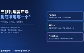 Postern、SSTap、NekoBox 三款客户端怎么选